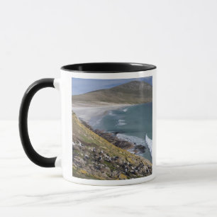 Tasse Îles Falkland, Malouines occidentales, Saunders