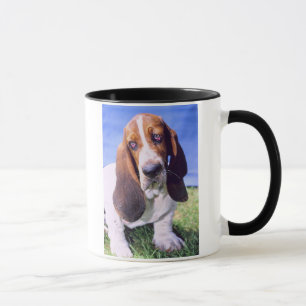 Tasse Image de la liaison Basset
