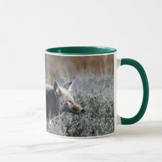 TASSE IMG_0328