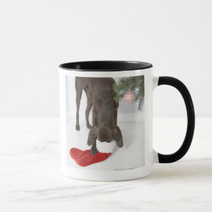 Tasse Indicateur aux cheveux courts allemand collant le