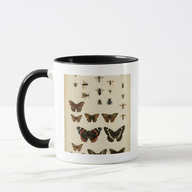Tasse Insectes de jardin par Vision Studio (Gauche)