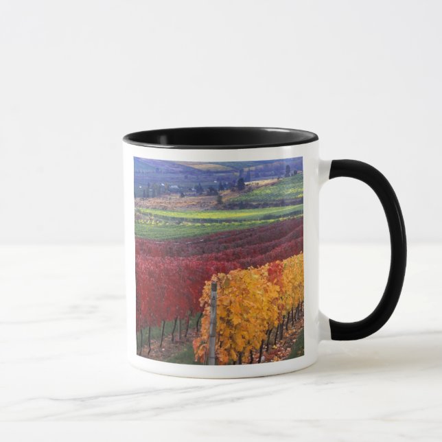 Tasse Intense couleur rouge et jaune sur Gehring (Droite)