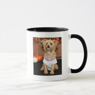 Tasse Irène - Shorkie - Photo-3