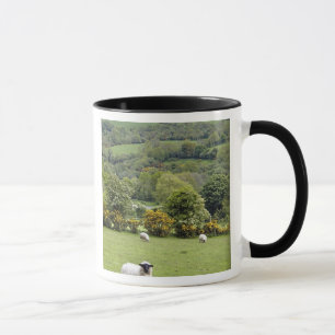 Tasse Irlande de l'Ouest, péninsule de Dingle, large