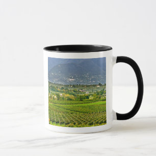 Tasse Italie, lac de Garde. Les rives du lac de Garde so