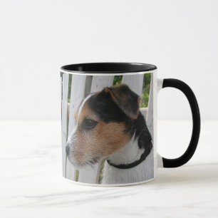 Tasse Jack Russell Terrier