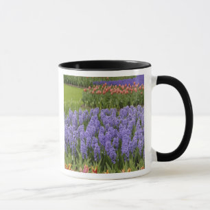 Tasse Jardin de tulipes et de jacinthes, jardins de Keuk