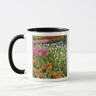 Tasse Jardin de tulipes et de jacinthes, jardins de Keuk