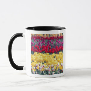 Tasse Jardin d'exposition des tulipes dans la vallée de