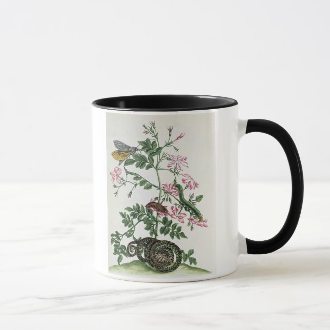 Tasse Jasmin : avec le serpent, la mite, le caterpiller (Droite)