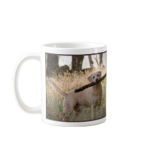 Tasse jaune de labrador retriever