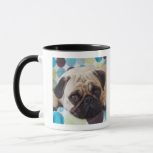 Tasse jeune animal familier curieux