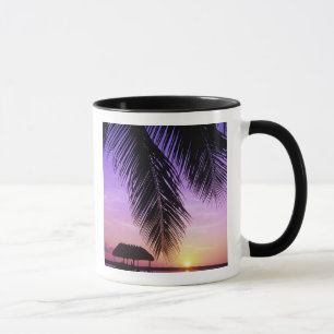 Tasse John Pennekamp State Park, Florida Keys, Key