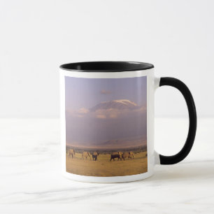 Tasse Kenya : parc national d'Amboseli, Éléphants