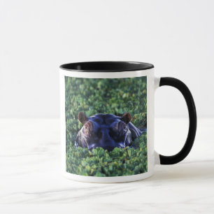 Tasse Kenya, réserve nationale du Masai Mara.