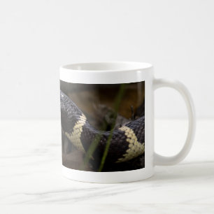 Tasse König-Schlange
