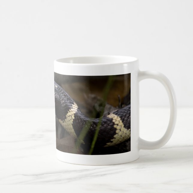 Tasse König-Schlange (Rechts)