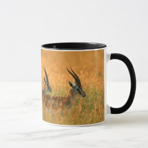 Tasse La gazelle de Thomson (Gazella Thomsonii) à l'aube