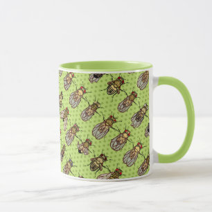 Tasse La génétique de mouche à fruit de drosophile -