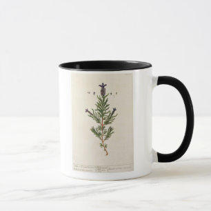 Tasse La lavande française, plaquent 241 'd'un Herbal