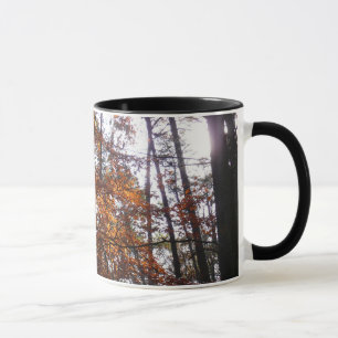 Tasse La lumière du soleil dans l'arbre d'automne de la