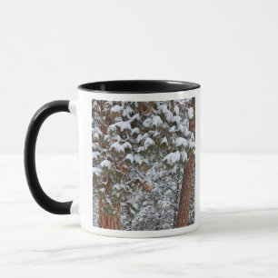 Tasse La neige remplit les branches des pins ponderosa