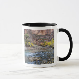 Tasse La rivière Virgin en automne dans le Parc nationa