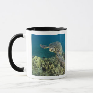 Tasse La tortue verte, (Chelonia mydas), est la 2