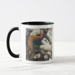 Tasse La vie sous-marine ; POISSONS : Un portrait d'un
