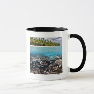 Tasse Lagune tropicale dans l'atoll du sud d'Ari dans