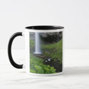 Tasse Latourell Falls, Columbia River Gorge, Oregon,