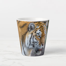 Tasse Latte Amur tiger