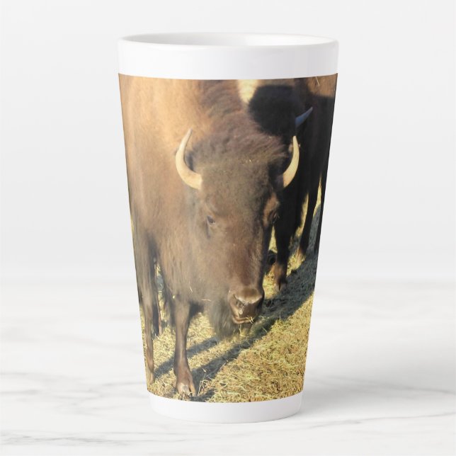 Tasse Latte Bison dans le Colorado (Devant)