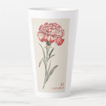 Carnation - Janvier Fleur de naissance