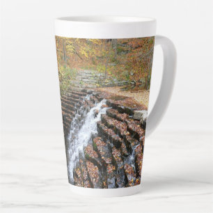 Tasse Latte Cascade à Laurel Hill State Park II