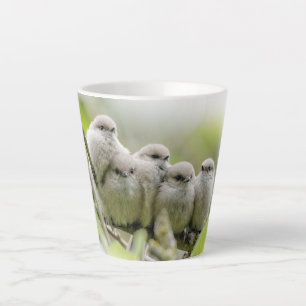 Tasse Latte Charme de coeur Cute Bushtits Songbirds Photo de f