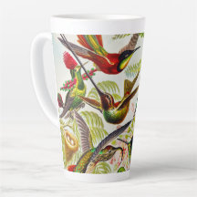 Colibri Vintage par Ernst Haeckel