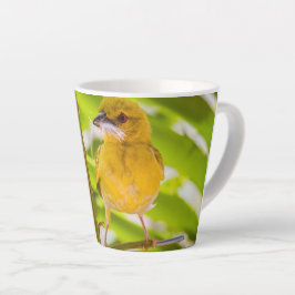 Tasse Latte Il est temps de construire le nid