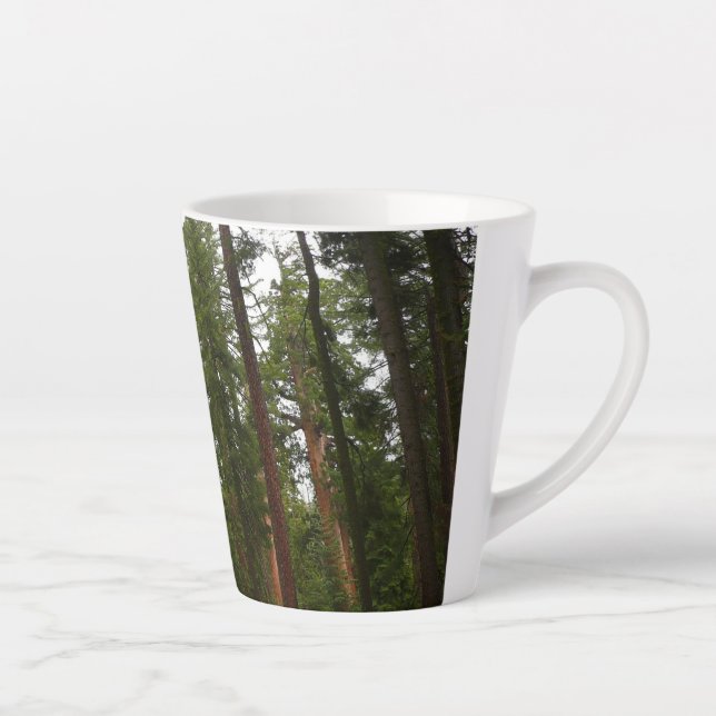 Tasse Latte Mariposa Grove dans le parc national de Yosemite (Droite)