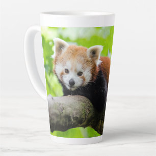 Tasse Latte Panda rouge