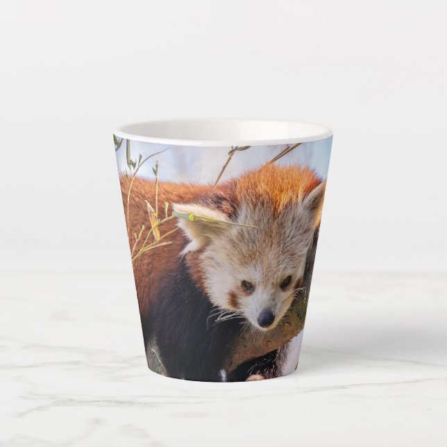 Tasse Latte Petit panda rouge pâle (Devant)