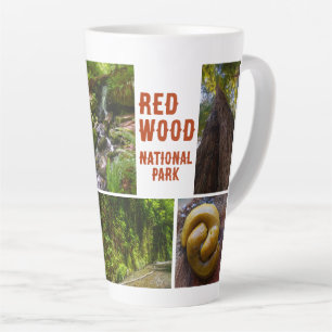 Tasse Latte Photo du parc national de Redwood