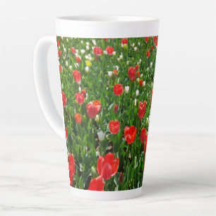 Tasse Latte Red Tulip Flower Field Nature Photographie