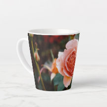 Rose d'automne 