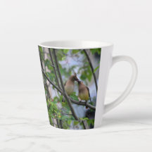 Super café me rend Berry heureux