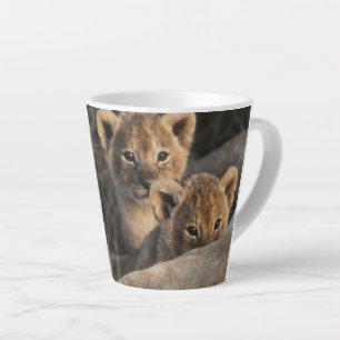 Tasse Latte Trio de Lion Cubs with Mother