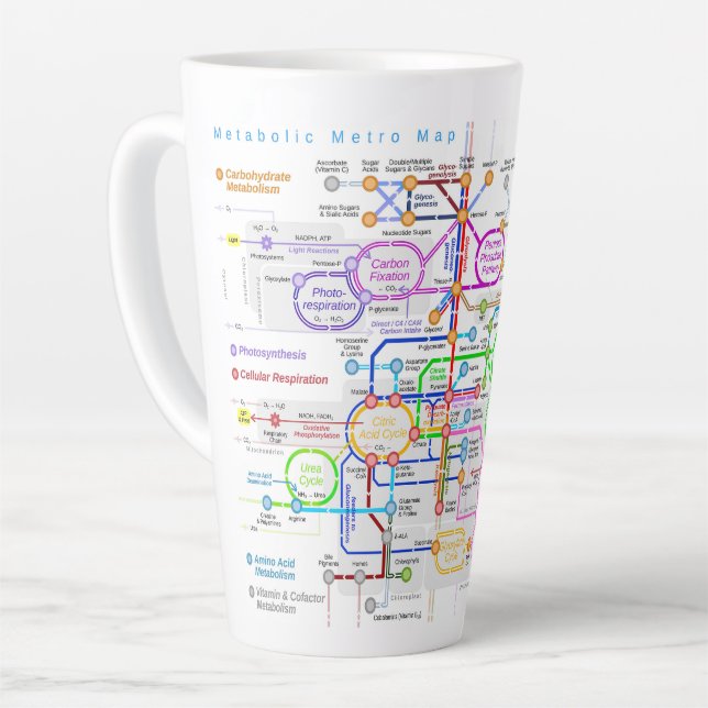 Tasse Latte Voie métabolique (Angle gauche)
