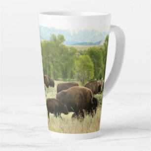 Tasse Latte Wyoming Bison Nature Animal Photographie