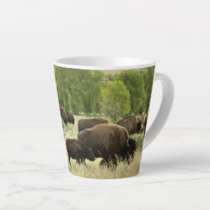 Tasse Latte Wyoming Bison Nature Animal Photographie