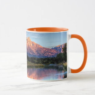 Tasse L'atterrissage de Schwabacher